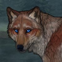 Feldfrost Headshot