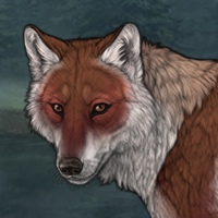 FoxSun Headshot