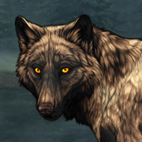 Wolf Headshot