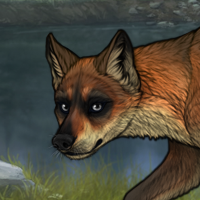 rnx fox Headshot