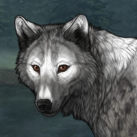 Wolf Headshot