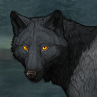 Wolf Headshot