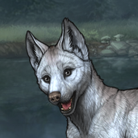 Glacous pup Headshot