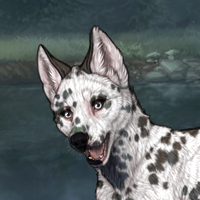 dalmation pie fem train Headshot