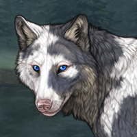 PIEBALD Headshot