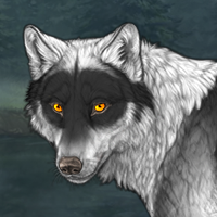 Wolf Headshot