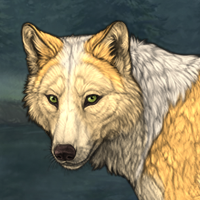 Wolf Headshot