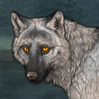 Wolf Headshot
