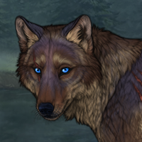 Bear's Eye Headshot