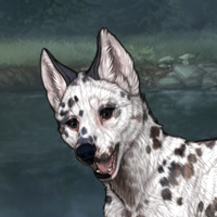 G2 T2 Dalmatian Headshot