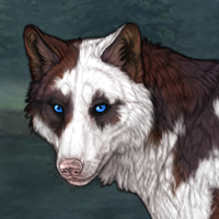 M | 5M | Piebald: Torn Headshot