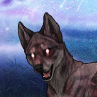 Velk Headshot