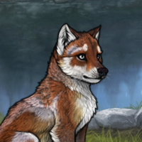 ! enclave fox Headshot