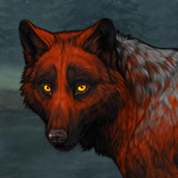 Wolf Headshot