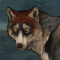 Wolf Headshot