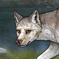 Birch Merle 2x Inu Tamas Headshot