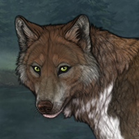 Piebald: Zerdava Headshot