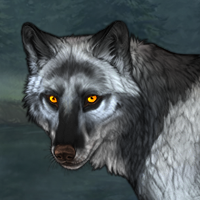 Wolf Headshot