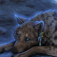 Wolf Headshot