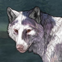 Piebald: Uneven Headshot