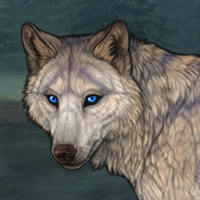 Breeder Wolf Pup Headshot