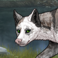 piebald: torn{G3} Headshot