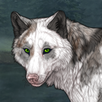 piebald: torn ᴳ³ Headshot