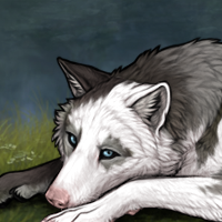 Nanuq Headshot