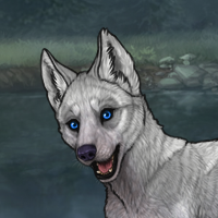 Wolfe Headshot