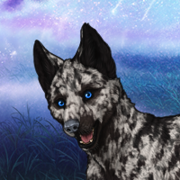 Ebony Merle runt Headshot