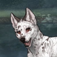 G2 T2 Dalmatian Headshot