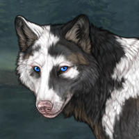 𝐀𝐔𝐋𝐈𝐄𝐑 Headshot
