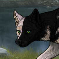 Snowflake Obsidian Headshot