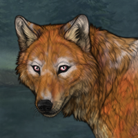 G2 bloodhound fox Headshot
