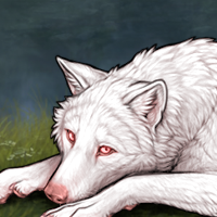 Albino fur Headshot