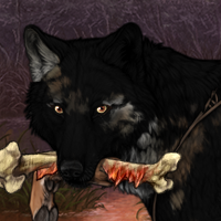 Wolf Headshot