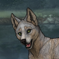 R&C-T1-F Headshot