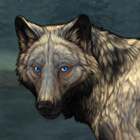 Wolf Headshot