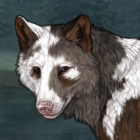 Sissinnguaq - Piebald Headshot