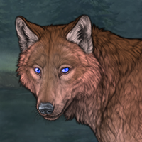 Dark Werewolf Headshot