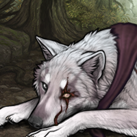 Wolf Headshot