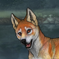 Foxy Headshot