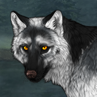 Wolf Headshot