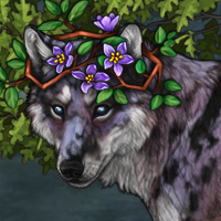 Blossom of purple spring Headshot