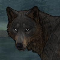𝗢𝗔𝗞 Headshot