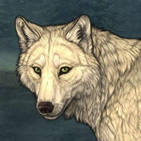 Wolf Headshot