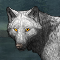 Wolf Headshot