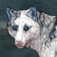 Piebald k Headshot