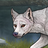 Argent pup Headshot