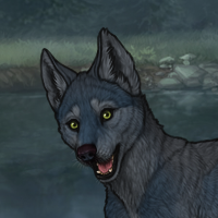 Elderberry Headshot